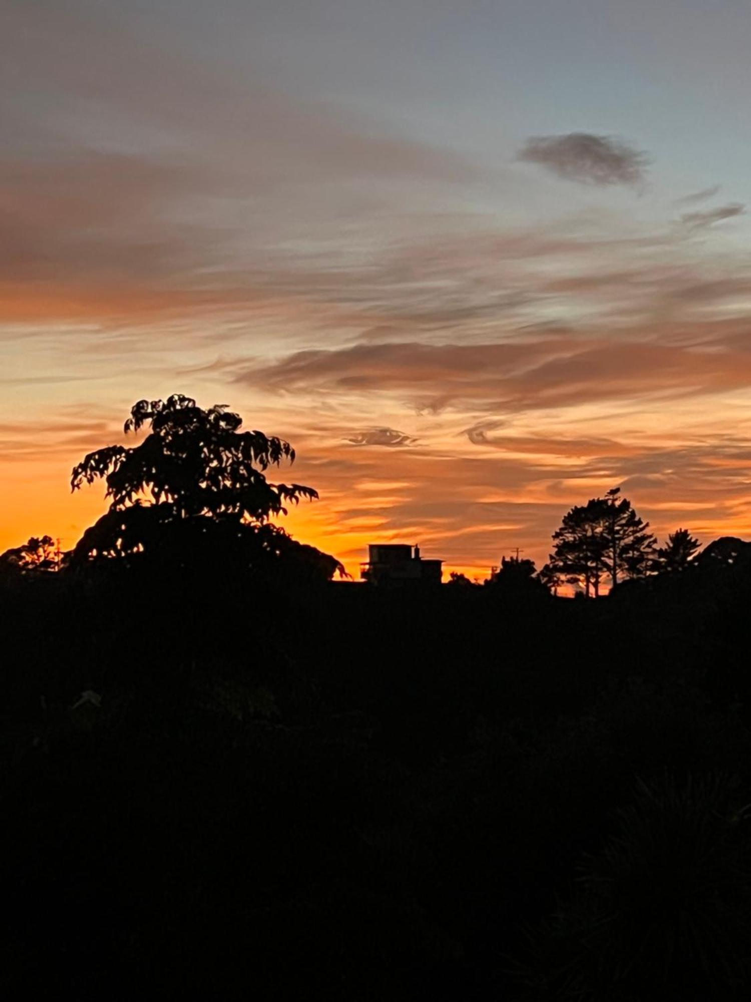Tutukaka Sunrise Lägenhet Exteriör bild